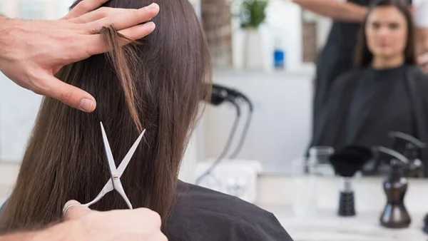Curso de corte